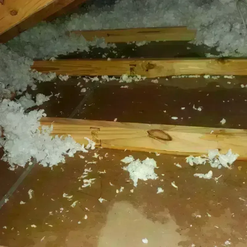 Attic Water Damage in Saint Paul, TX