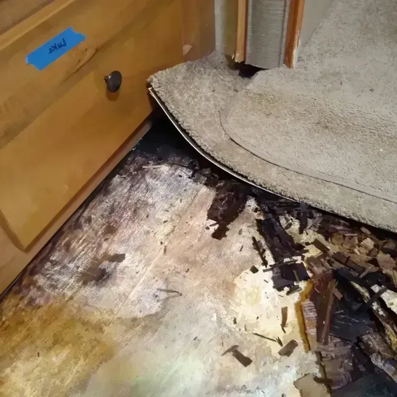 Best Wood Floor Water Damage Service in Saint Paul, TX